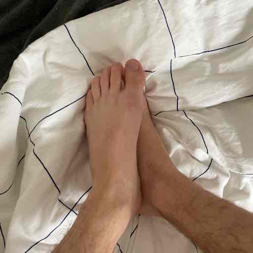 Timber's profile picture