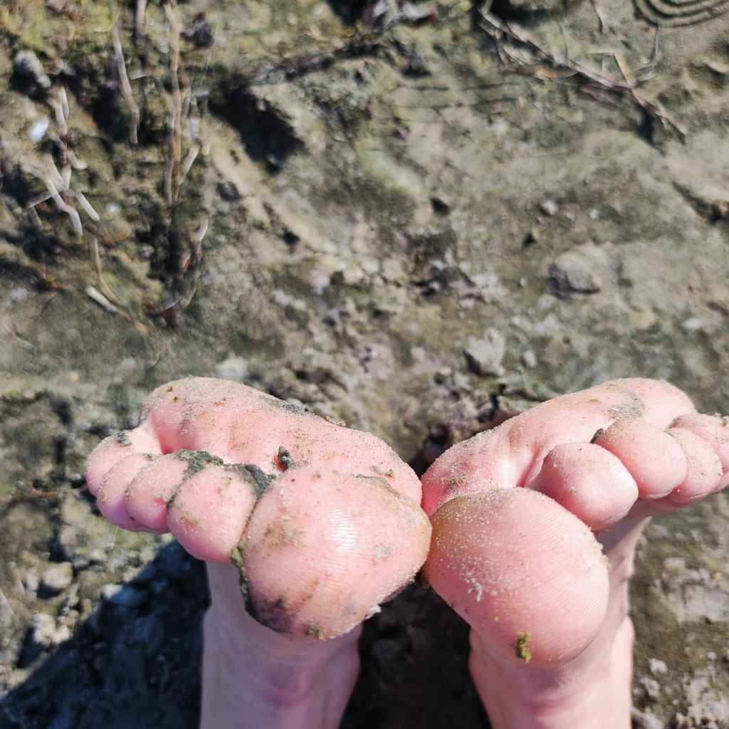 A bit of dirt
