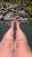Natural Hot Springs