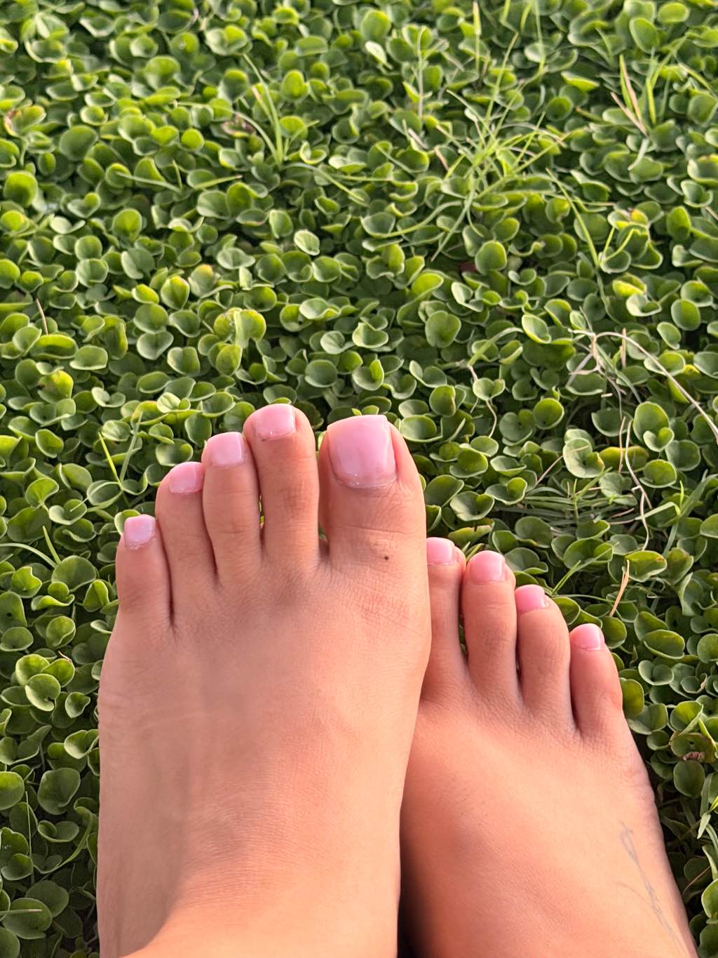 Barefoot In the Grass