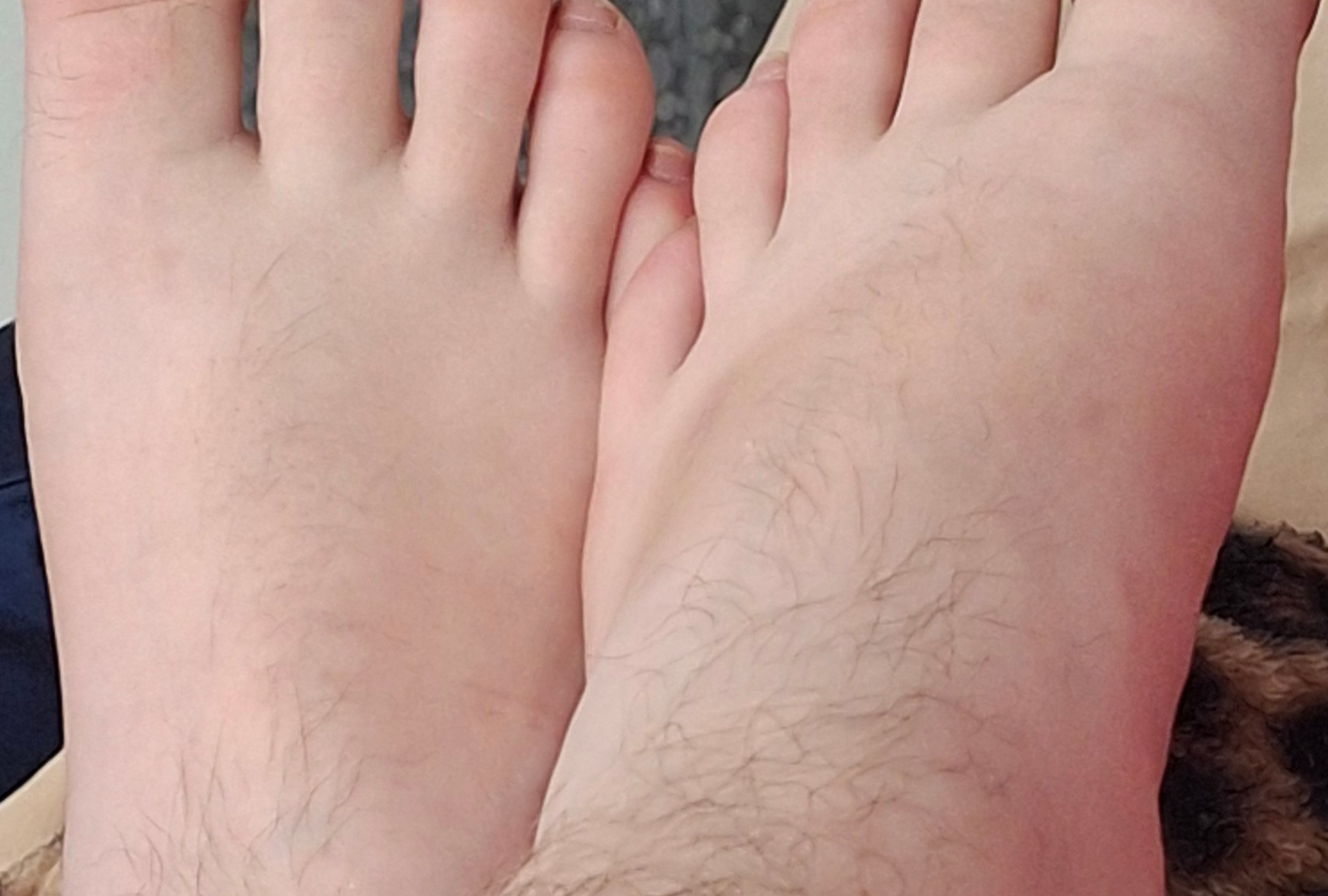 Steph's profile picture