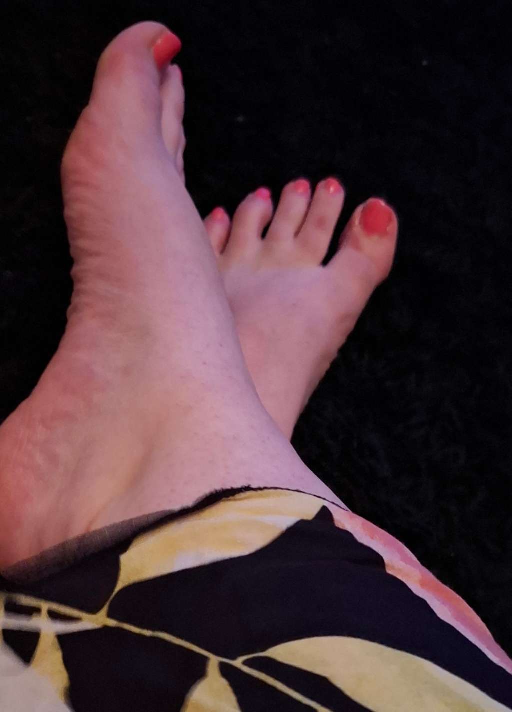 Photos