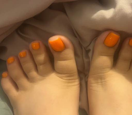 Elegant_Arches's profile picture